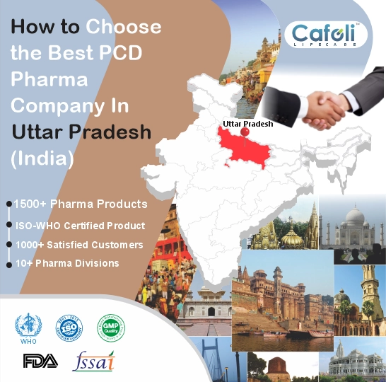 Pcd Pharma Franchise In Uttar Pradesh 2nd image