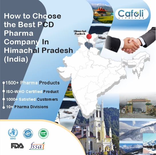 Pcd Pharma Franchise In Himachal Pradesh image