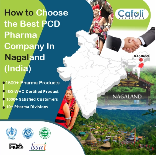 Pcd Pharma Franchise In Nagaland image